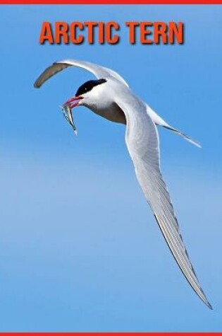 Cover of Arctic Tern