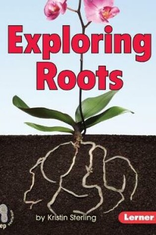 Cover of Exploring Roots