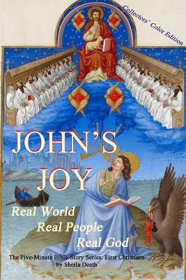 Book cover for John's Joy
