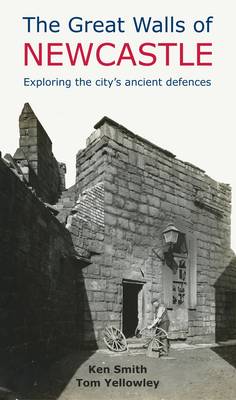 Book cover for The Great Walls of Newcastle