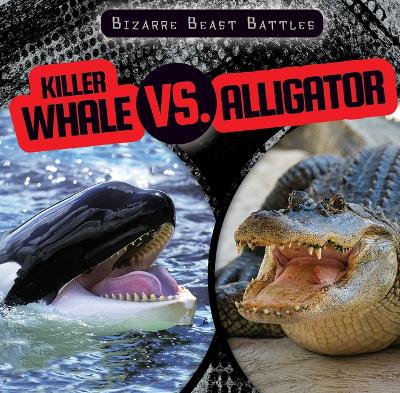 Book cover for Killer Whale vs. Alligator