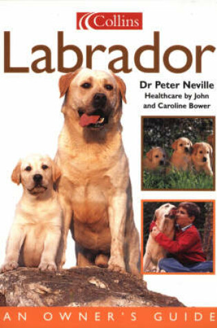 Cover of Labrador