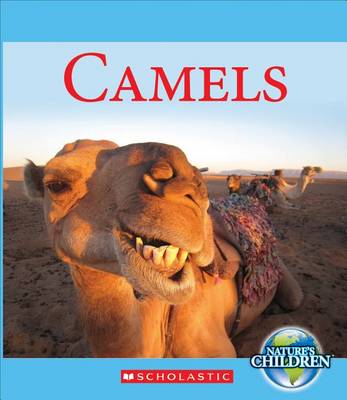 Book cover for Camels