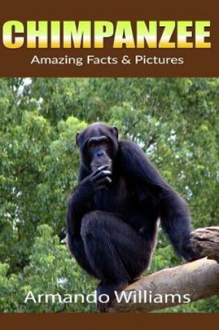 Cover of Chimpanzee