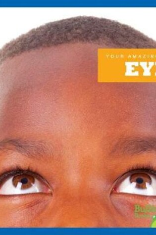 Cover of Eyes