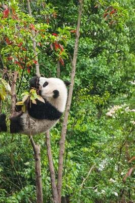 Book cover for Darling Panda Hanging in the Trees