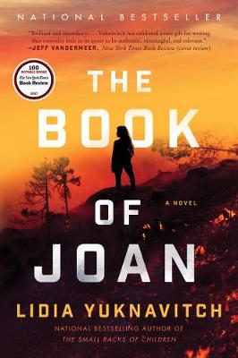 Book cover for The Book of Joan