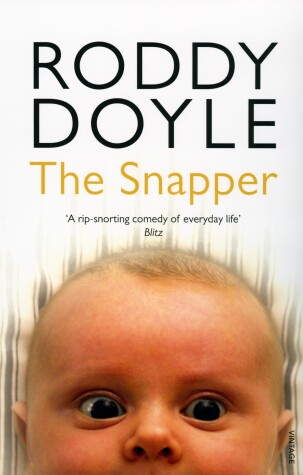 Book cover for The Snapper