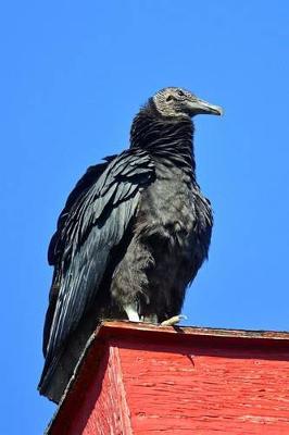 Book cover for Black Vulture Journal