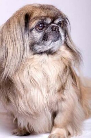 Cover of The Pekingese Dog Journal