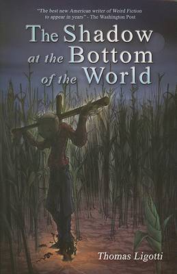 Book cover for The Shadow at the Bottom of the World