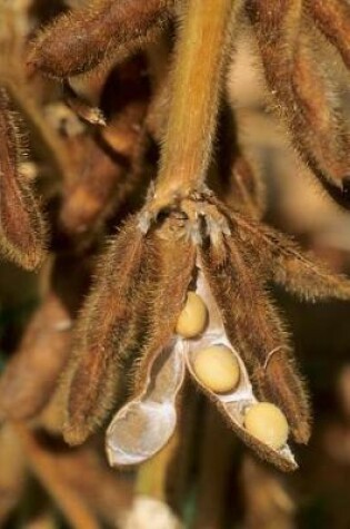 Cover of Farm Journal Soybean Close Up On Plant