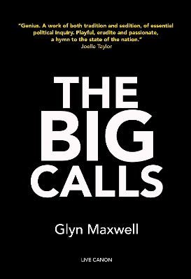 Book cover for The Big Calls