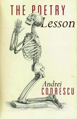 Book cover for The Poetry Lesson