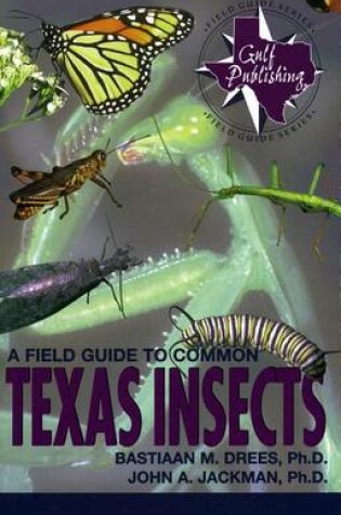 Cover of A Field Guide to Common Texas Insects