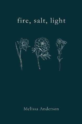 Cover of fire, salt, light