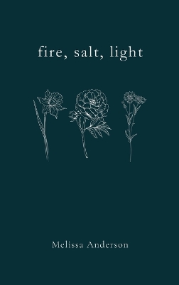 Book cover for fire, salt, light