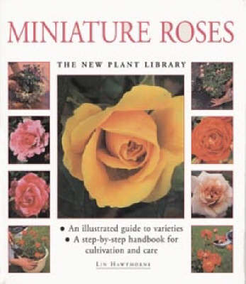 Cover of Little Plant Library: Miniature Roses