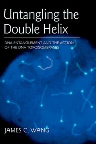 Cover of Untangling the Double Helix