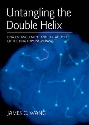 Book cover for Untangling the Double Helix