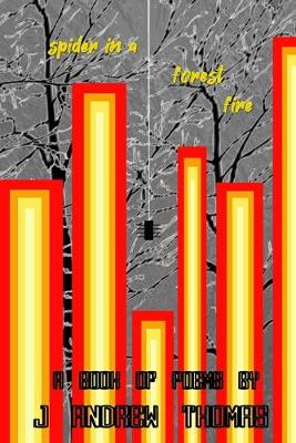 Book cover for Spider in a Forest Fire