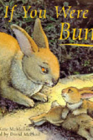 Cover of If You Were My Bunny
