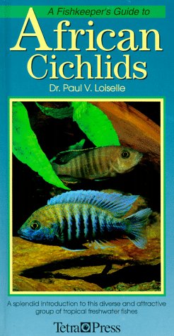 Book cover for African Cichlids