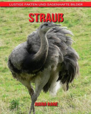 Book cover for Strauß