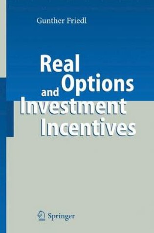 Cover of Real Options and Investment Incentives