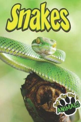 Cover of Snakes