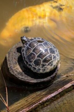 Cover of Red-eared Slider Terrapin/Turtle Journal (Trachemys Scripta Elegans)