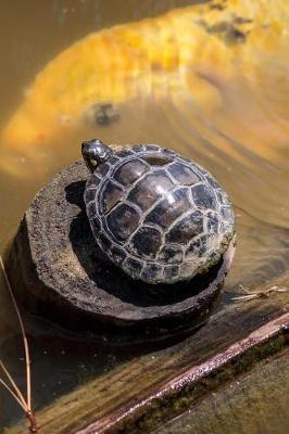 Book cover for Red-eared Slider Terrapin/Turtle Journal (Trachemys Scripta Elegans)