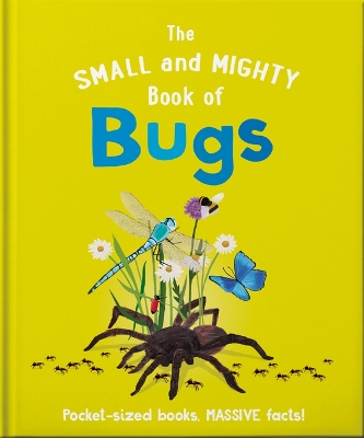 Book cover for The Small and Mighty Book of Bugs