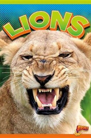 Cover of Lions