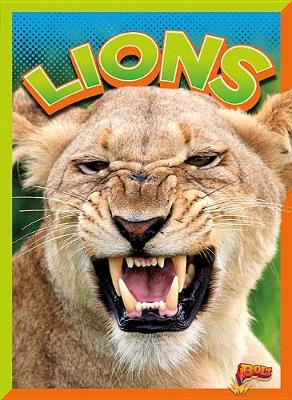 Book cover for Lions