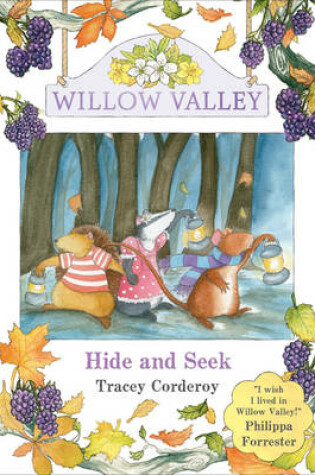 Cover of Hide and Seek