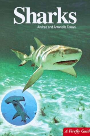 Cover of Sharks