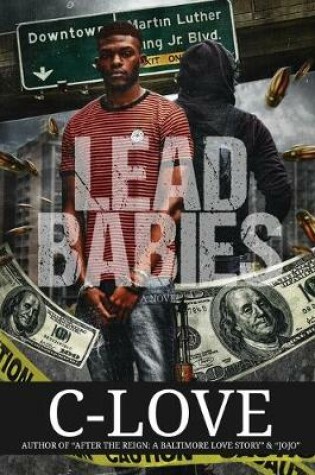 Cover of Lead Babies