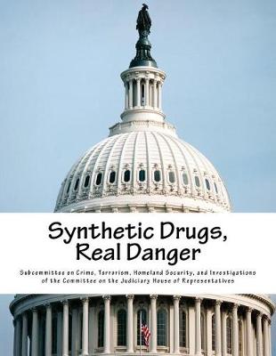 Book cover for Synthetic Drugs, Real Danger