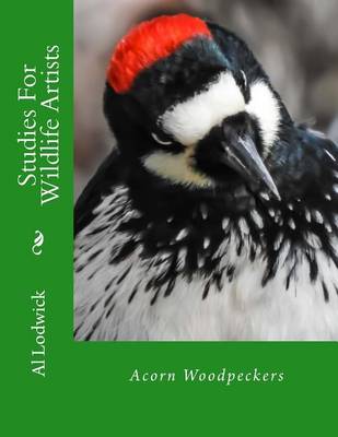 Book cover for Acorn Woodpeckers