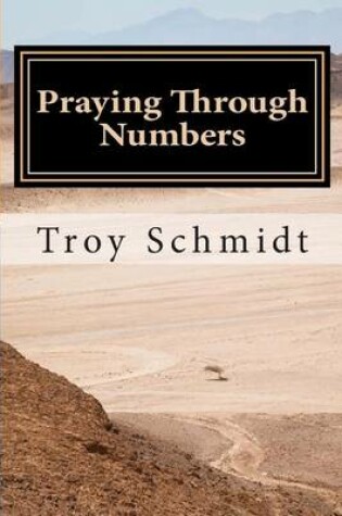 Cover of Praying Through Numbers