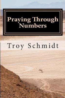 Book cover for Praying Through Numbers