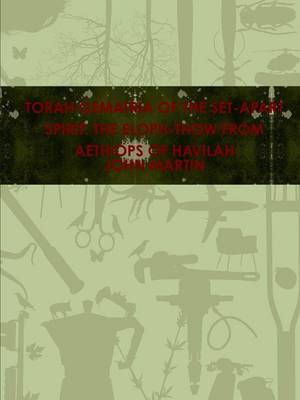 Book cover for Torah Gematria of the Set-Apart Spirit: The Eloph-Thow from Aethiops of Havilah