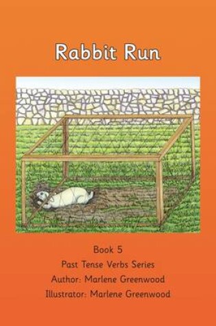 Cover of Rabbit Run
