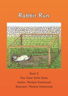 Book cover for Rabbit Run