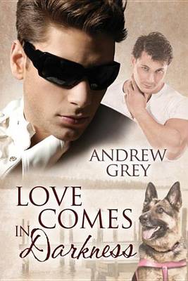 Book cover for Love Comes in Darkness