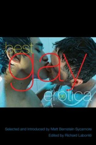 Cover of Best Gay Erotica 2006