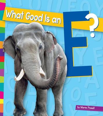 Book cover for What Good Is an E?