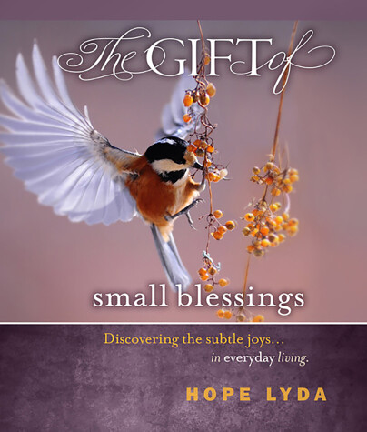 Book cover for The Gift of Small Blessings