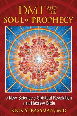 Book cover for DMT and the Soul of Prophecy